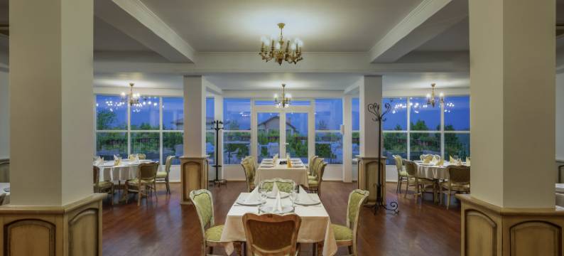 梅迪亚什 Binderbubi 美居水疗酒店(Mercure Medias Binderbubi Hotel and Spa)图片