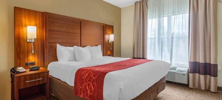 南海文I-55舒适套房酒店(Comfort Suites Southaven I-55)图片