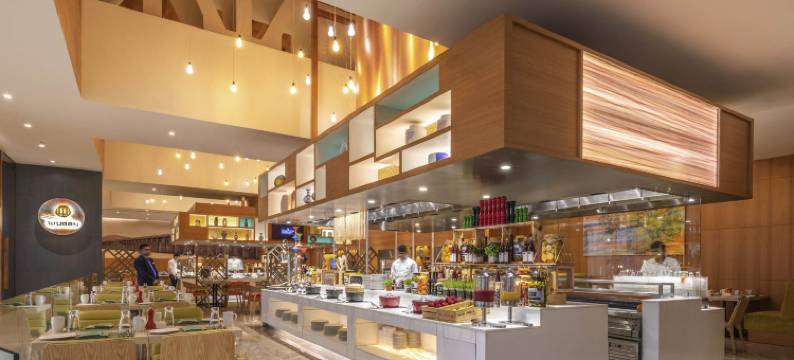 诺富特维加亚瓦达瓦伦酒店(Novotel Vijayawada Varun)图片