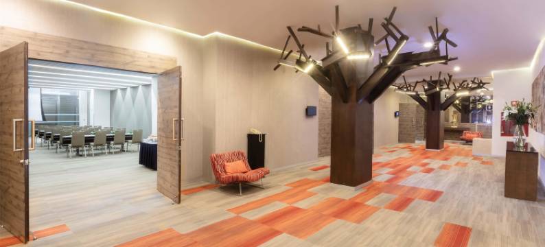 巴塞罗那-瓜达拉哈拉(Barcelo Guadalajara)图片