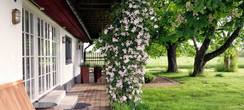 托斯博尔格斯农场住宿加早餐旅馆(Torsborgs Gård)图片