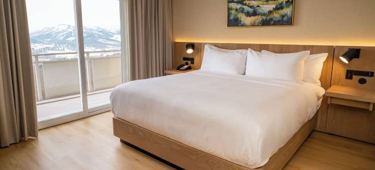 威尔克斯-巴里假日酒店(Holiday Inn WILKES BARRE - EAST MOUNTAIN by IHG)图片
