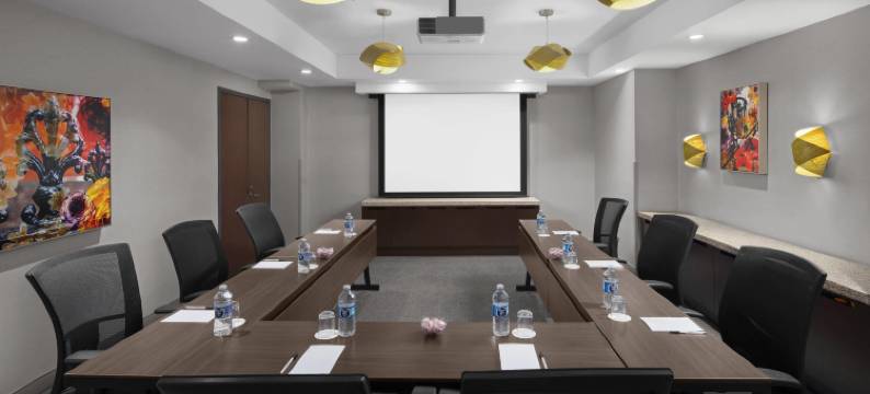 纽约-切尔西坎布里亚酒店(Cambria Hotel New York - Chelsea)图片