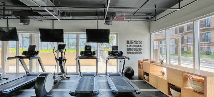 Collective 1 T2 1006图片