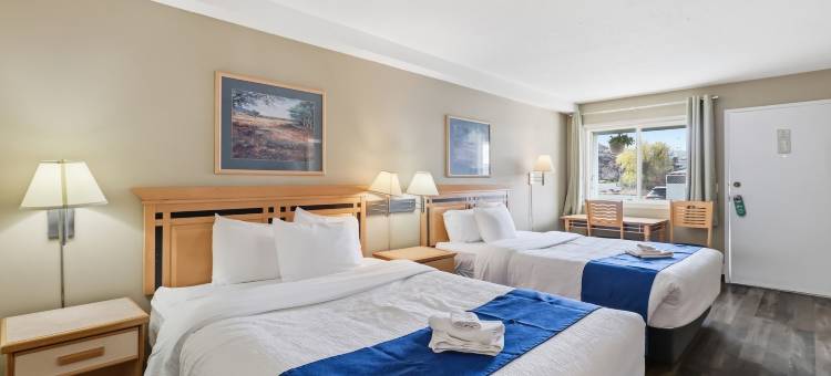 卡什溪加拿大最佳价值沙漠套房酒店(Canadas Best Value Desert Inn & Suites)图片