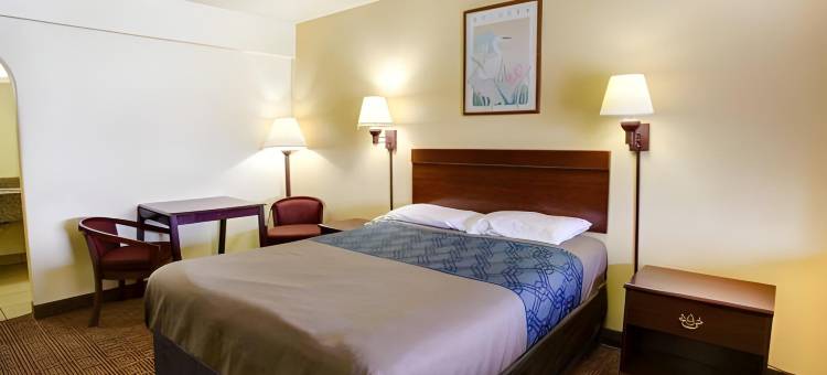 圣马科斯大学区伊克诺旅馆(Econo Lodge San Marcos University Area)图片