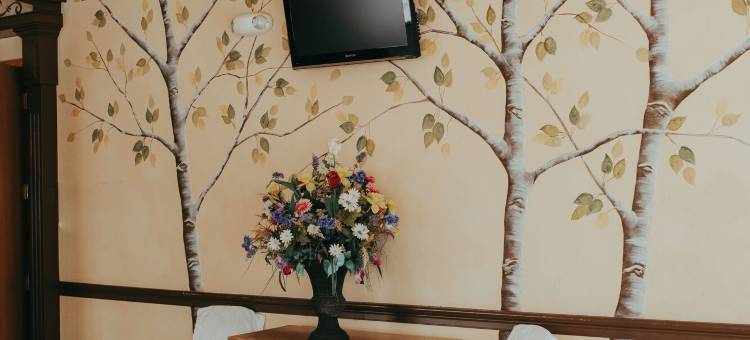 卡森城广场酒店(Carson City Plaza Hotel)图片