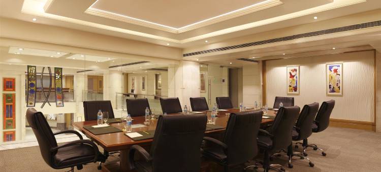齐普尔柠檬树尊贵酒店(Lemon Tree Premier, Jaipur)图片