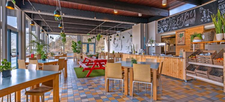 斯托亚凯诺德韦克 - 青年旅舍(Stayokay Hostel Noordwijk)图片