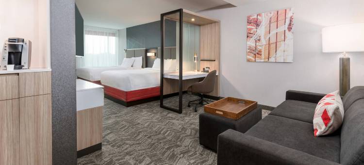 马里奥特拉克兰SpringHill套房(SpringHill Suites Lakeland)图片