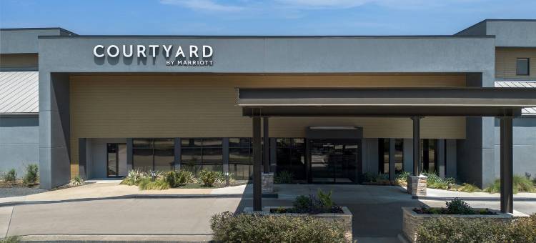 达拉斯沃斯堡国际机场北/欧文万怡酒店(Courtyard Dallas DFW Airport North/Irving)图片