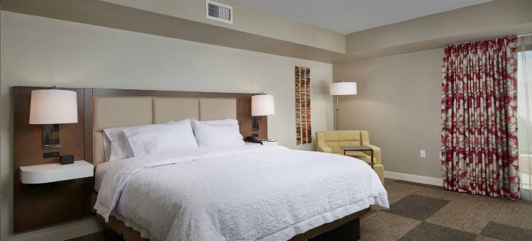 欢朋酒店凤凰-斯科特斯德希亚大道(Hampton Inn & Suites by Hilton Phoenix Scottsdale Shea Blvd)图片