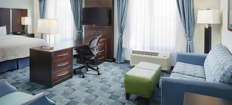 达拉斯路易斯维尔维斯塔里奇购物中心欢朋套房酒店(Hampton Inn & Suites Dallas-Lewisville/Vista Ridge Mall)图片