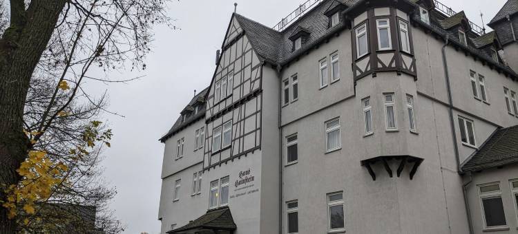 翰斯海尼斯汀酒店(Haus Hainstein)图片