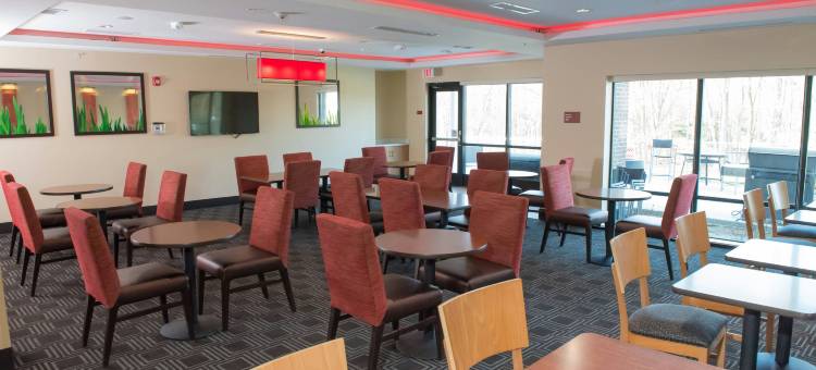 巴特尔克里克TownePlace套房酒店(TownePlace Suites Battle Creek)图片