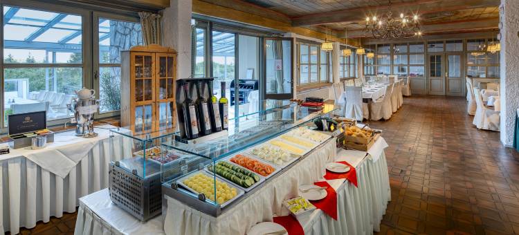 罗恩花园贝斯特韦斯特Sure酒店(Sure Hotel by Best Western Rhön Garden)图片