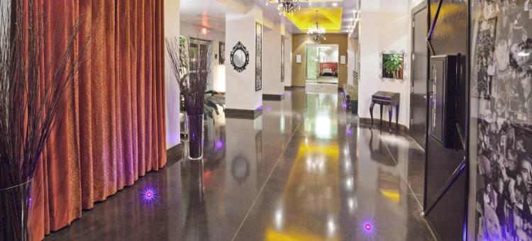 智选假日酒店-弗赖拉辛传奇公园区(Holiday Inn Express Frisco Legacy Park Area)图片