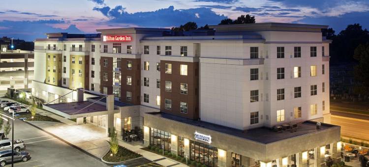 罗切斯特/大学和医学中心希尔顿花园酒店(Hilton Garden Inn Rochester/University and Medical Center)图片