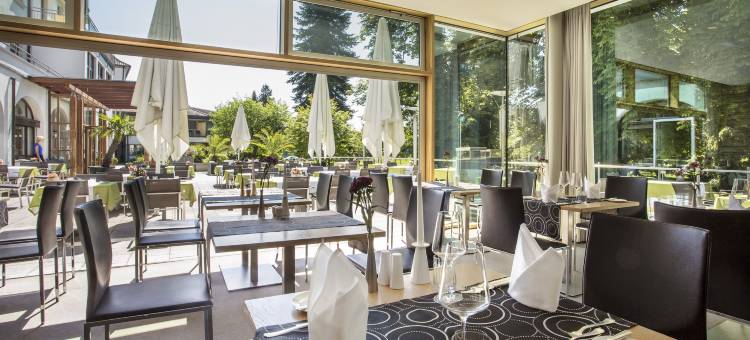 多林特约旦巴德公园酒店比伯拉赫安德里斯(Dorint Parkhotel Jordanbad)图片