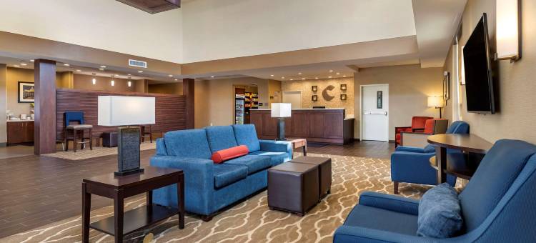 舒适套房酒店(Comfort Suites Kyle)图片