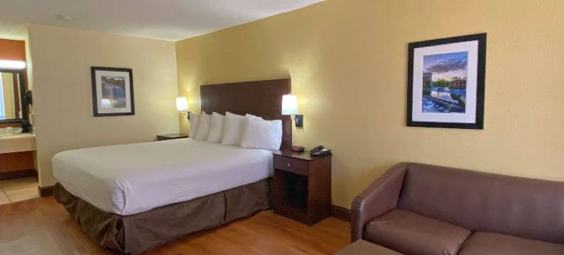 格林维尔机场贝斯特韦斯特酒店(Best Western Greenville Airport Inn)图片