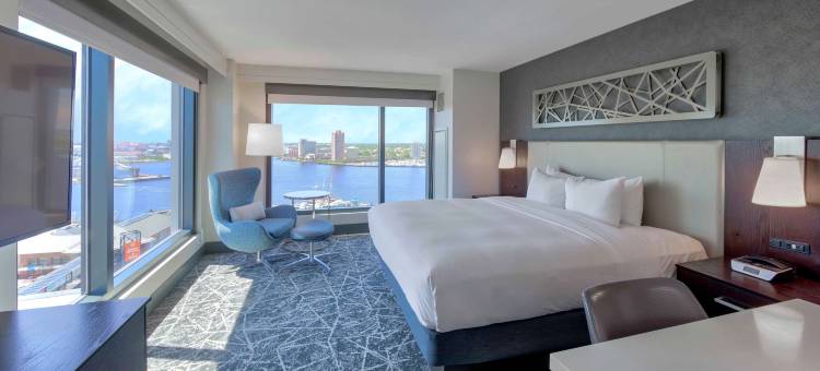 诺福克主街希尔顿酒店(Hilton Norfolk The Main)图片