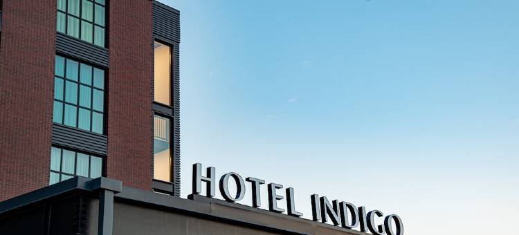 纽约市中心华尔街英迪格酒店，洲际旗下(Hotel Indigo NYC Downtown - Wall Street)图片