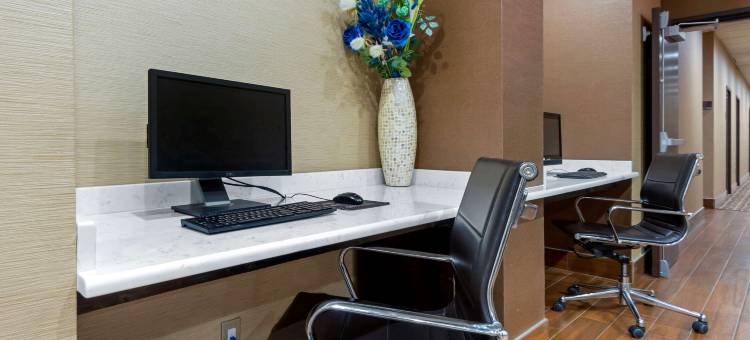 宾厄姆顿I-81舒适酒店(Comfort Inn Binghamton I-81)图片