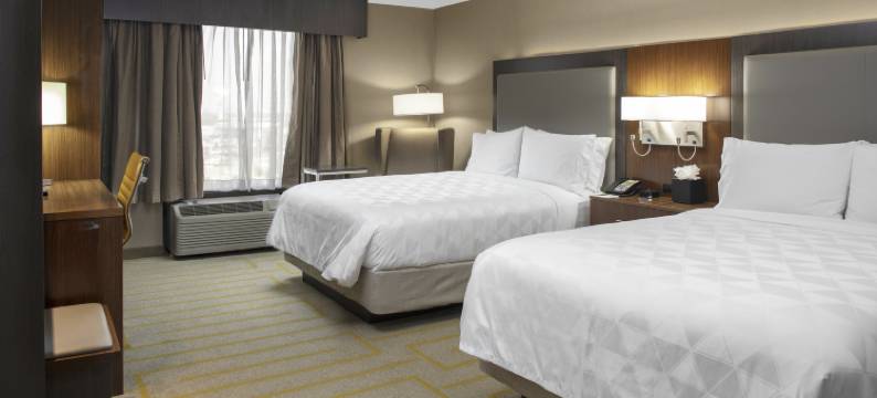 洲际酒店集团旗下芝加哥西南康提赛德假日酒店会议中心(Holiday Inn CHICAGO SW-COUNTRYSIDE CONFCTR by IHG)图片