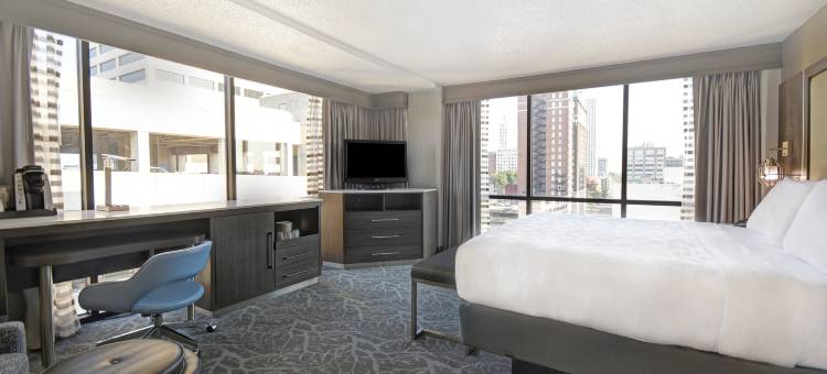 Holiday Inn 孟菲斯市区(比尔ST。) by IHG(Holiday Inn Memphis-Downtown (Beale ST by IHG)图片
