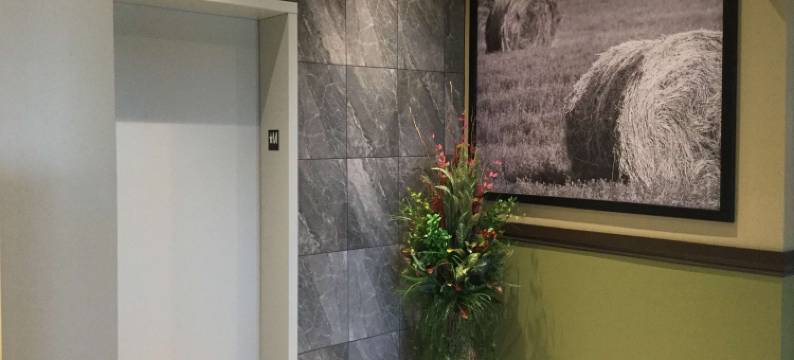 哈迪斯蒂温德姆速8酒店(Super 8 by Wyndham Hardisty)图片