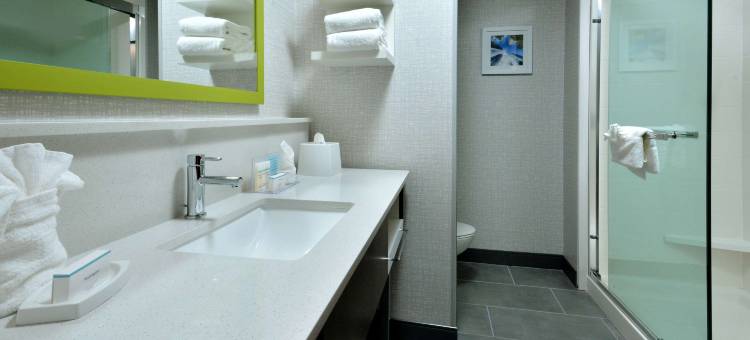 夏洛特北 I 485 希尔顿欢朋套房酒店(Hampton Inn & Suites by Hilton Charlotte North I 485)图片