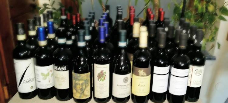 伊尔卡米奈托餐厅酒店(Hotel Ristorante Il Caminetto)图片