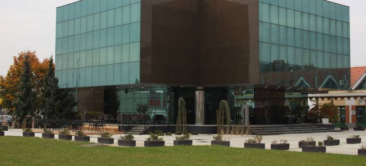 酷比斯酒店(Hotel Cubis)图片