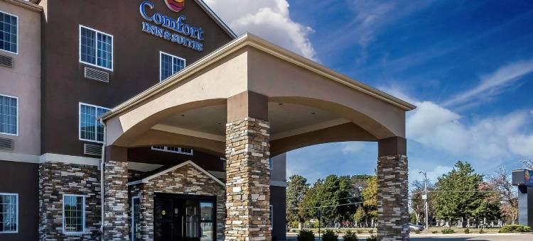 近伯特利学院舒适套房酒店(Comfort Inn & Suites Near Bethel College)图片