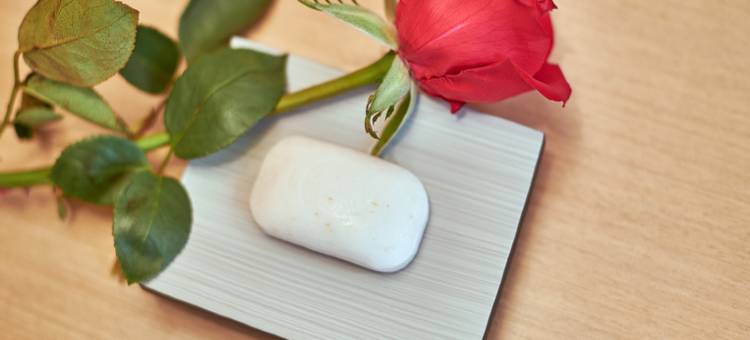 麗枫酒店(长春高新吉林大学店)图片