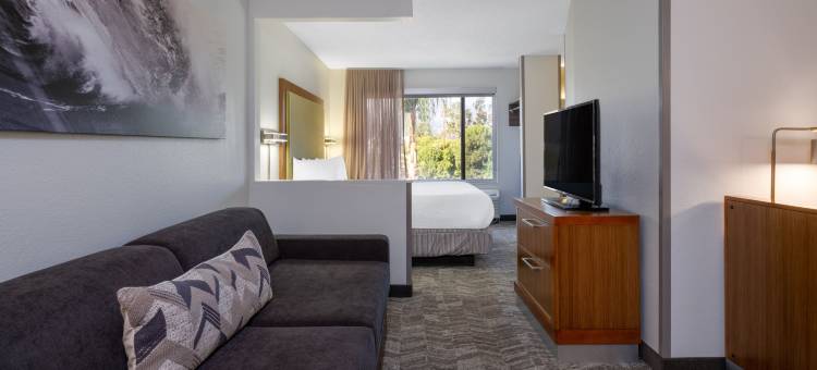 帕莎蒂娜阿卡迪亚万豪SpringHill酒店(SpringHill Suites Pasadena Arcadia)图片