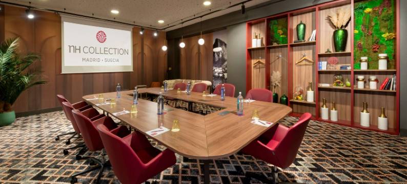 马德里苏西亚NH酒店(NH Collection Suecia)图片