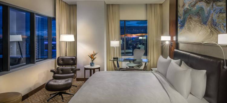 圣多明戈JW万豪酒店(JW Marriott Hotel Santo Domingo)图片