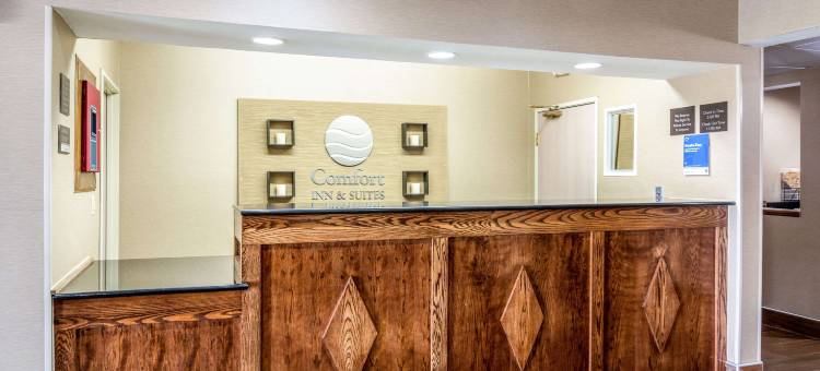 汉尼拔舒适套房酒店(Comfort Inn & Suites - Hannibal)图片