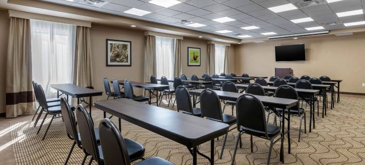 锡达拉皮兹CID东爱荷华机场舒适套房酒店(Comfort Inn & Suites Cedar Rapids Cid Eastern Iowa Airport)图片