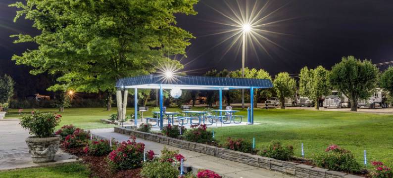 福雷斯特城I-40品质酒店(Quality Inn Forrest City I-40)图片