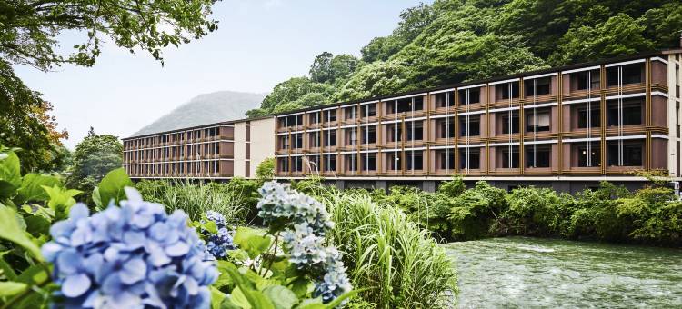 Hotel Indigo 箱根强罗英迪格酒店(Hotel Indigo Hakone Gora)图片