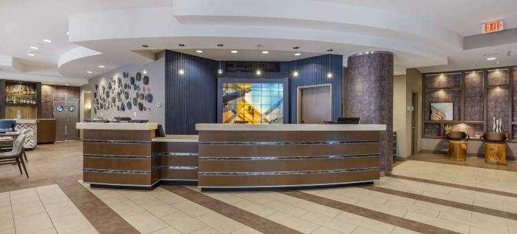 洛克维尔坎布里亚酒店(Cambria Hotel Rockville)图片