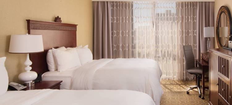查尔斯顿万豪酒店(Charleston Marriott)图片