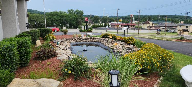 Red Roof Inn & Suites Vineland - Buena图片