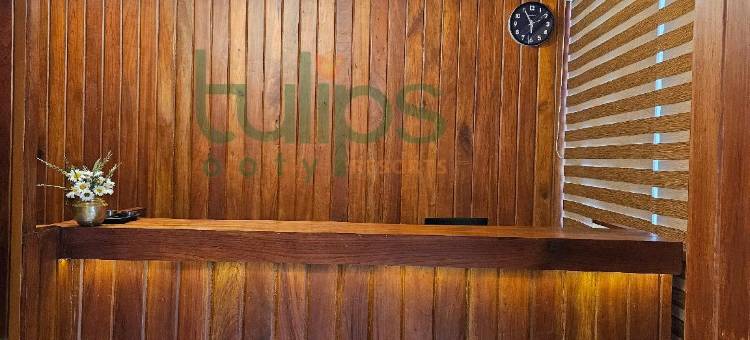 Tulips Village Resorts图片