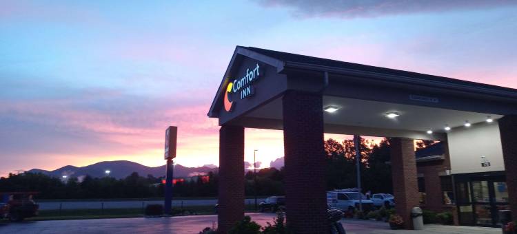 舒适酒店(Comfort Inn Near Downtown & Blue Ridge Pkwy)图片