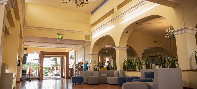 拉皮达德假日酒店(Holiday Inn LA PIEDAD by IHG)图片