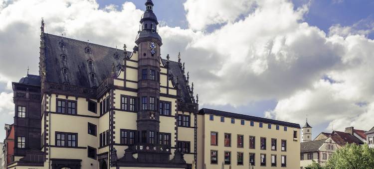 施韦因福特迈尼瑟尔美居酒店(Mercure Hotel Schweinfurt Maininsel)图片